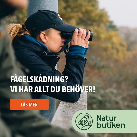 Naturbutiken